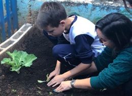 A Horta Como Um  Espaço De Aprendizagem, Sentidos E Convivência